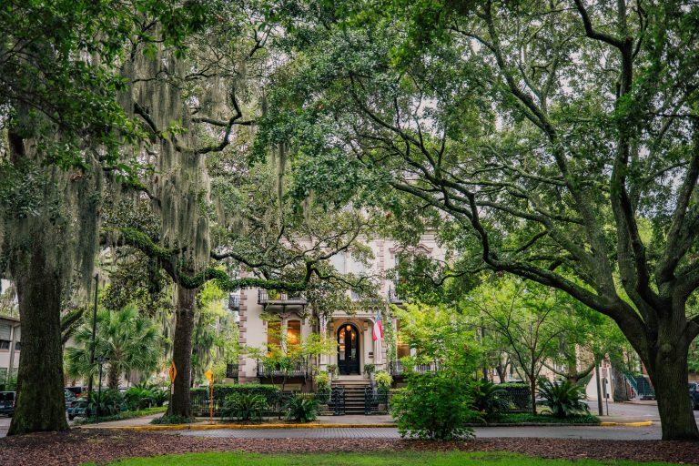Spanish moss frames picturesque historic buildings in downtown Savannah.
