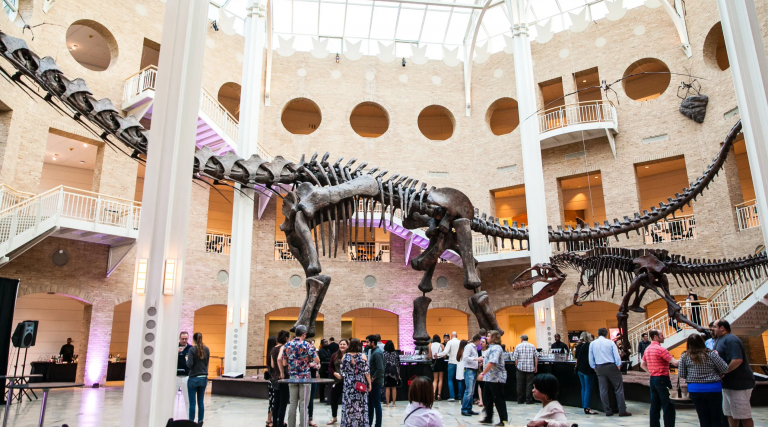 Fernbank Museum of Natural History in Atlanta