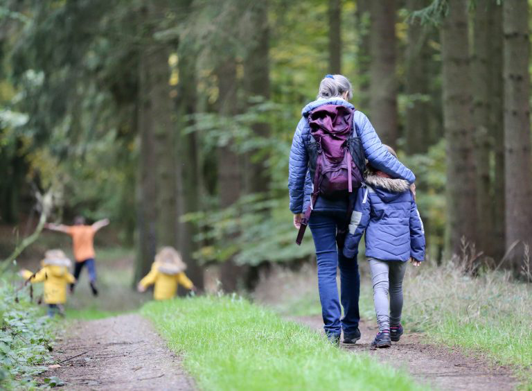 family hike in the quiet forest during a last minute vacation