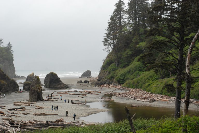 Stunning sights along the coast in Olympia, Washington