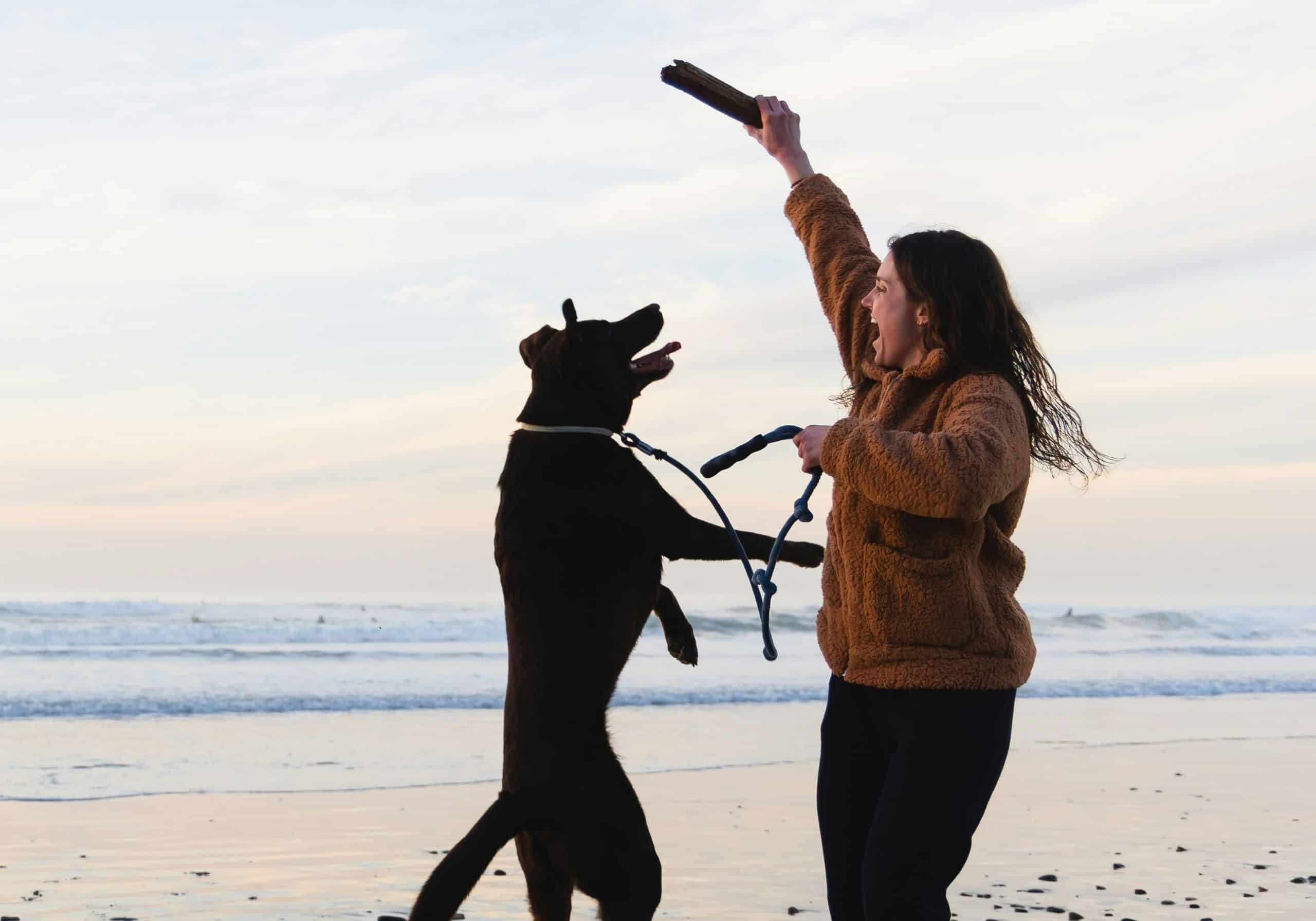 Pawfect Getaways: Discover America's Top Pet-Friendly Cities Unleash the Adventure: Exploring Canine-Friendly Trails, Eateries, and Parks