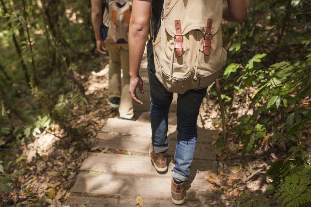 Two people walking on a hiking trail.