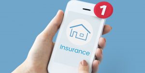 Hands holding a phone looking at rental insurance.